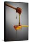 1 Tablespoon Honey-Steve Gadomski-Framed Stretched Canvas