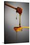 1 Tablespoon Honey-Steve Gadomski-Stretched Canvas