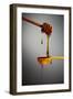 1 Tablespoon Honey-Steve Gadomski-Framed Premium Photographic Print