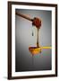 1 Tablespoon Honey-Steve Gadomski-Framed Photographic Print