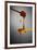 1 Tablespoon Honey-Steve Gadomski-Framed Photographic Print