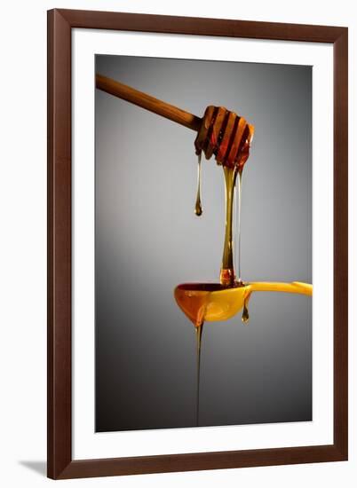 1 Tablespoon Honey-Steve Gadomski-Framed Photographic Print