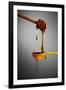 1 Tablespoon Honey-Steve Gadomski-Framed Photographic Print