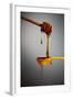 1 Tablespoon Honey-Steve Gadomski-Framed Photographic Print