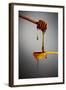 1 Tablespoon Honey-Steve Gadomski-Framed Photographic Print