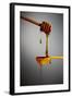 1 Tablespoon Honey-Steve Gadomski-Framed Photographic Print