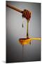 1 Tablespoon Honey-Steve Gadomski-Mounted Photographic Print