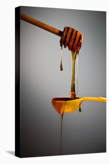 1 Tablespoon Honey-Steve Gadomski-Stretched Canvas