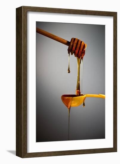 1 Tablespoon Honey-Steve Gadomski-Framed Photographic Print