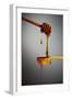 1 Tablespoon Honey-Steve Gadomski-Framed Photographic Print