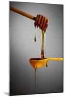 1 Tablespoon Honey-Steve Gadomski-Mounted Photographic Print