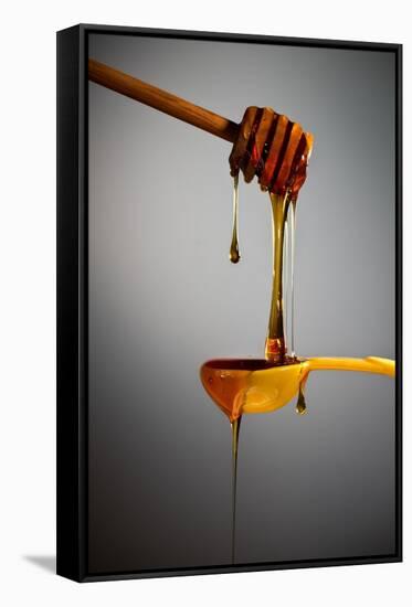 1 Tablespoon Honey-Steve Gadomski-Framed Stretched Canvas