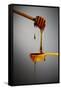 1 Tablespoon Honey-Steve Gadomski-Framed Stretched Canvas