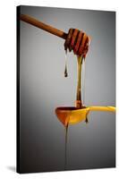 1 Tablespoon Honey-Steve Gadomski-Stretched Canvas