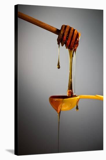 1 Tablespoon Honey-Steve Gadomski-Stretched Canvas
