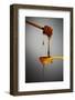 1 Tablespoon Honey-Steve Gadomski-Framed Photographic Print