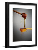 1 Tablespoon Honey-Steve Gadomski-Framed Photographic Print