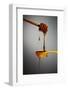 1 Tablespoon Honey-Steve Gadomski-Framed Photographic Print