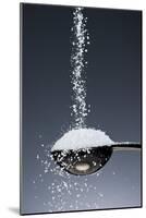 1 Tablespoon Kosher Salt-Steve Gadomski-Mounted Photographic Print