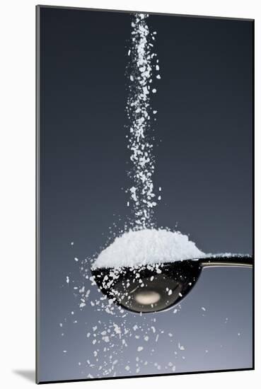 1 Tablespoon Kosher Salt-Steve Gadomski-Mounted Photographic Print