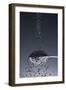 1 Tablespoon Lava Salt-Steve Gadomski-Framed Photographic Print