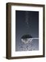 1 Tablespoon Lava Salt-Steve Gadomski-Framed Photographic Print