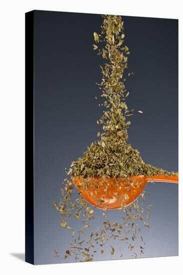 1 Tablespoon Oregano-Steve Gadomski-Stretched Canvas