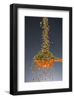 1 Tablespoon Oregano-Steve Gadomski-Framed Photographic Print