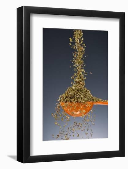 1 Tablespoon Oregano-Steve Gadomski-Framed Photographic Print