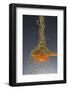 1 Tablespoon Oregano-Steve Gadomski-Framed Photographic Print