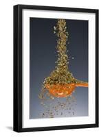 1 Tablespoon Oregano-Steve Gadomski-Framed Photographic Print