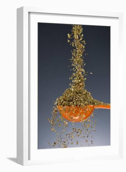 1 Tablespoon Oregano-Steve Gadomski-Framed Photographic Print