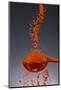 1 Tablespoon Paprika-Steve Gadomski-Mounted Photographic Print