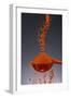 1 Tablespoon Paprika-Steve Gadomski-Framed Photographic Print