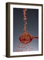 1 Tablespoon Red Gold Hawaii Sea Salt-Steve Gadomski-Framed Photographic Print