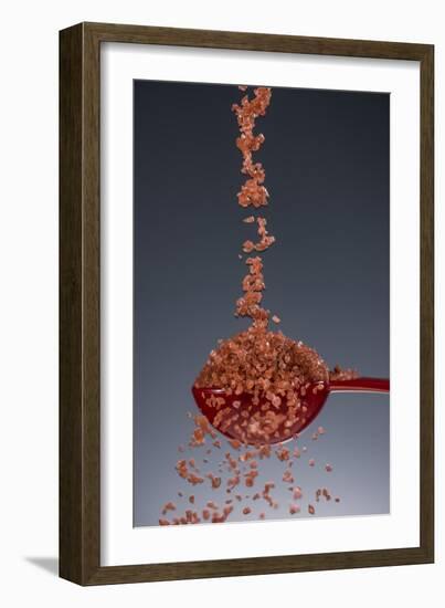 1 Tablespoon Red Gold Hawaii Sea Salt-Steve Gadomski-Framed Photographic Print