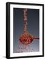 1 Tablespoon Red Gold Hawaii Sea Salt-Steve Gadomski-Framed Photographic Print