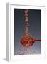 1 Tablespoon Red Gold Hawaii Sea Salt-Steve Gadomski-Framed Photographic Print