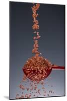 1 Tablespoon Red Gold Hawaii Sea Salt-Steve Gadomski-Mounted Photographic Print