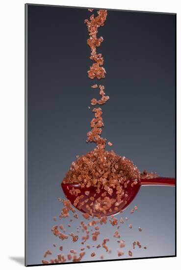 1 Tablespoon Red Gold Hawaii Sea Salt-Steve Gadomski-Mounted Photographic Print