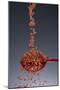 1 Tablespoon Red Gold Hawaii Sea Salt-Steve Gadomski-Mounted Photographic Print