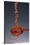 1 Tablespoon Red Gold Hawaii Sea Salt-Steve Gadomski-Stretched Canvas