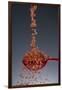 1 Tablespoon Red Gold Hawaii Sea Salt-Steve Gadomski-Framed Premium Photographic Print