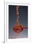 1 Tablespoon Red Gold Hawaii Sea Salt-Steve Gadomski-Framed Photographic Print