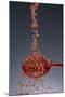 1 Tablespoon Red Gold Hawaii Sea Salt-Steve Gadomski-Mounted Photographic Print