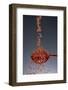 1 Tablespoon Red Gold Hawaii Sea Salt-Steve Gadomski-Framed Photographic Print