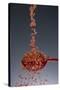 1 Tablespoon Red Gold Hawaii Sea Salt-Steve Gadomski-Stretched Canvas