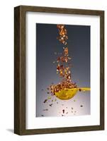 1 Tablespoon Red Pepper Flakes-Steve Gadomski-Framed Photographic Print