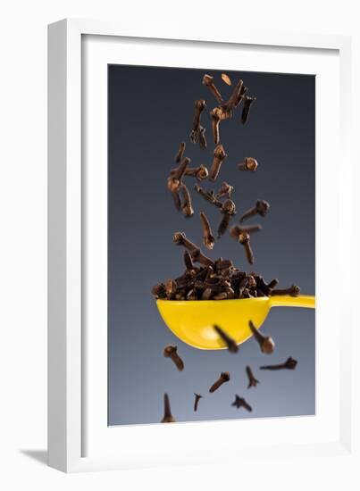 1 Tablespoon Whole Clove-Steve Gadomski-Framed Photographic Print