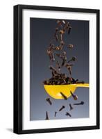 1 Tablespoon Whole Clove-Steve Gadomski-Framed Premium Photographic Print